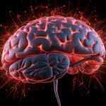 Unveiling How Stress & Anxiety Impact Your Brain