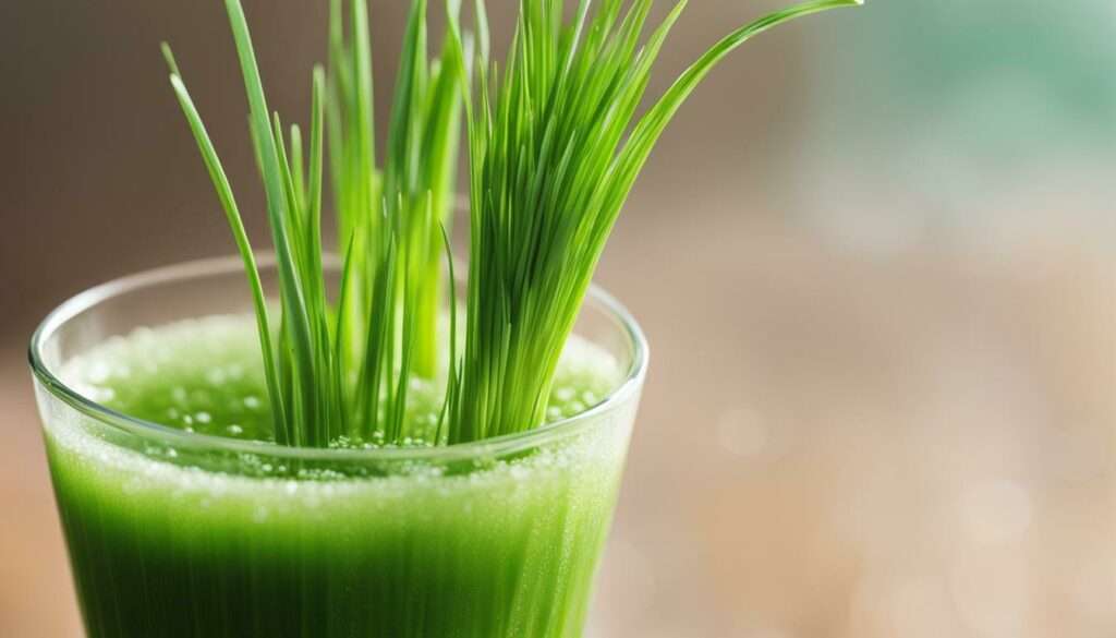 wheatgrass nutrition wheatgrass nutrition